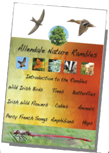 allendale_dvd