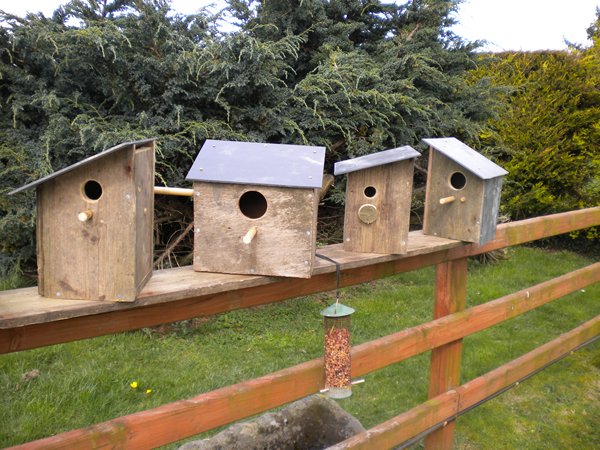 Bird boxes and feeders