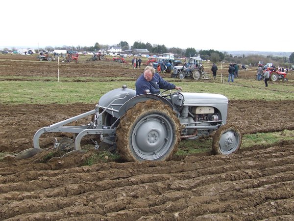 Ploughing Competitions