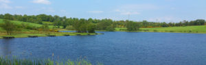 Leitrim Lake Carrigallen