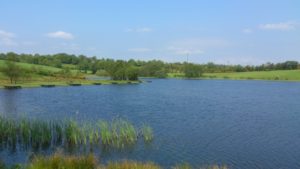 Town Lake, Carrigallen